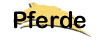 Unsere Pferde, Ausreitgel�nde und Hof