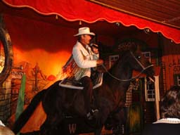 westerncity_015.jpg