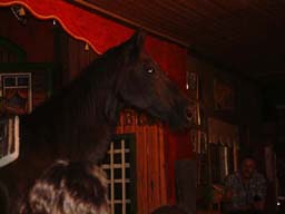 westerncity_016.jpg