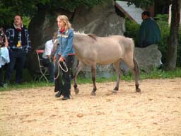 westerncity_017.jpg
