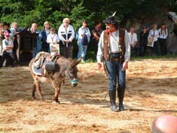 westerncity_025.jpg